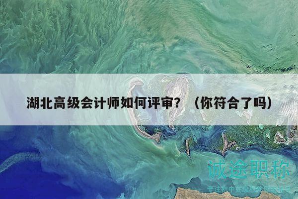 湖北高級會計師如何評審？（你符合了嗎）