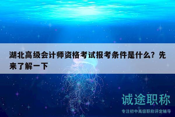 湖北高級會計師資格考試報考條件是什么？先來了解一下