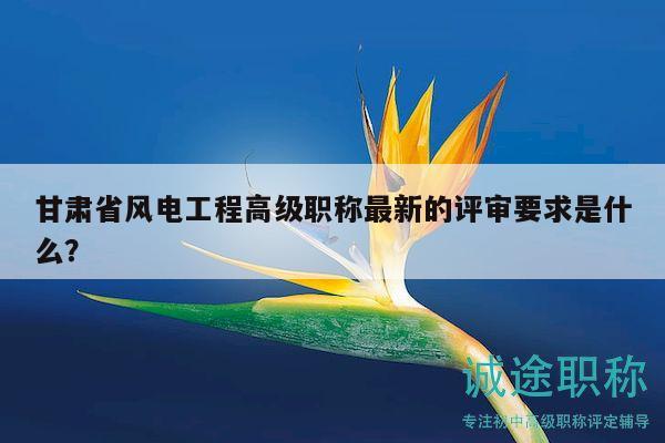 甘肅省風(fēng)電工程高級(jí)職稱最新的評(píng)審要求是什么？
