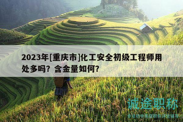 2023年[重慶市]化工安全初級工程師用處多嗎？含金量如何？