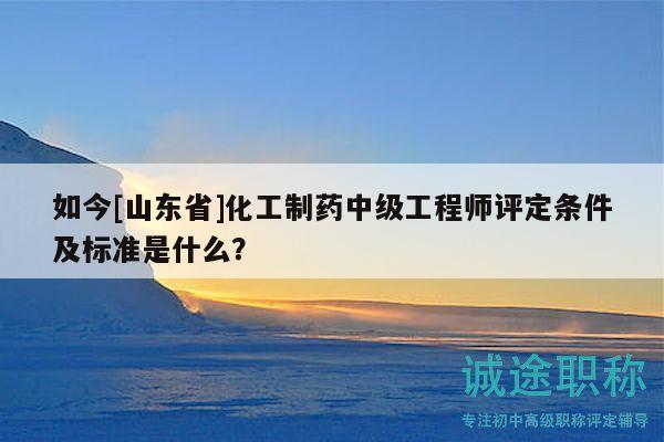 如今[山東省]化工制藥中級(jí)工程師評(píng)定條件及標(biāo)準(zhǔn)是什么？