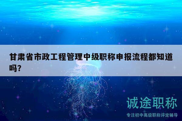 甘肅省市政工程管理中級職稱申報流程都知道嗎？