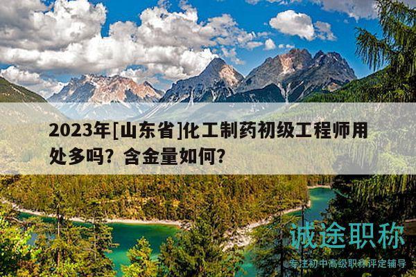 2023年[山東省]化工制藥初級(jí)工程師用處多嗎？含金量如何？