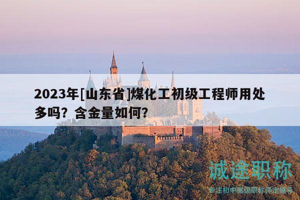 2023年[山東省]煤化工初級工程師用處多嗎？含金量如何？