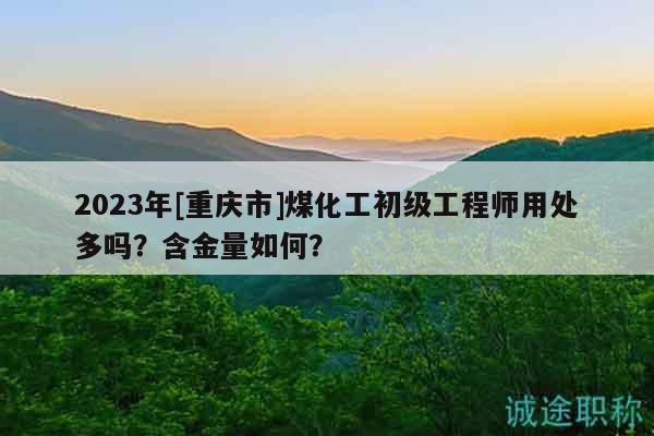 2023年[重慶市]煤化工初級工程師用處多嗎？含金量如何？