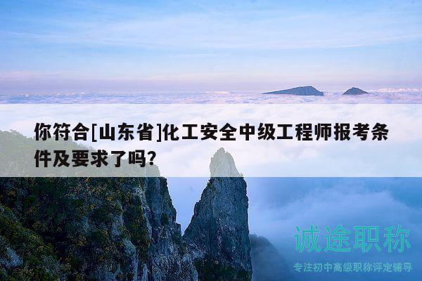 你符合[山東省]化工安全中級(jí)工程師報(bào)考條件及要求了嗎？