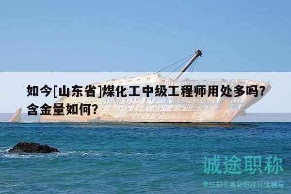 如今[山東省]煤化工中級(jí)工程師用處多嗎？含金量如何？