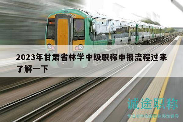 2023年甘肅省林學(xué)中級職稱申報流程過來了解一下