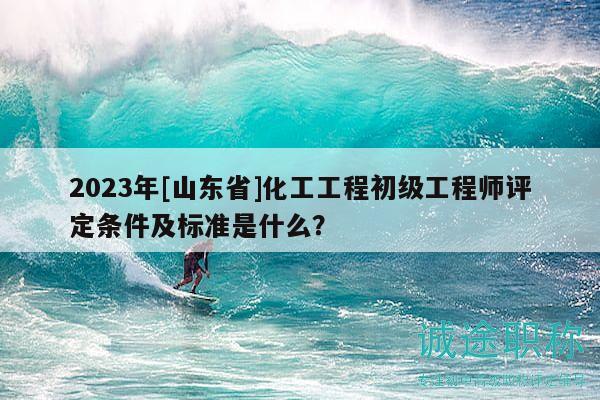 2023年[山東省]化工工程初級工程師評定條件及標(biāo)準(zhǔn)是什么？