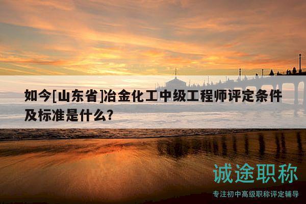 如今[山東省]冶金化工中級工程師評定條件及標準是什么？