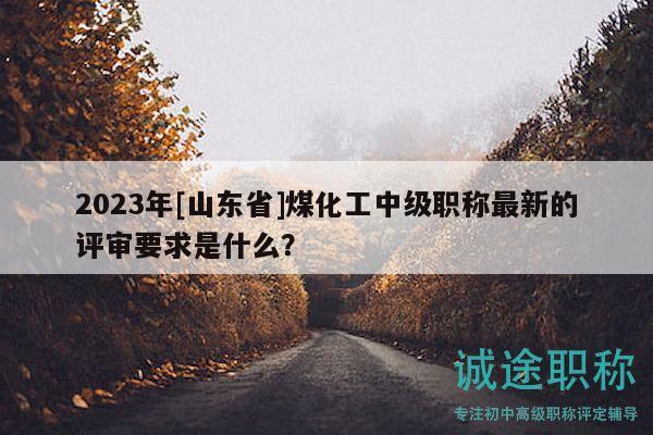2023年[山東省]煤化工中級職稱最新的評審要求是什么？