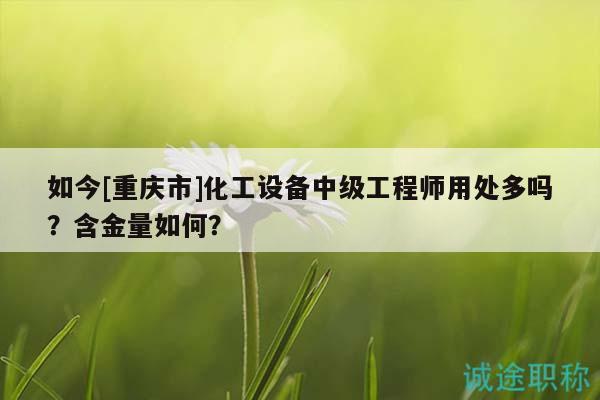 如今[重慶市]化工設(shè)備中級(jí)工程師用處多嗎？含金量如何？