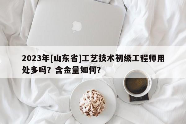 2023年[山東省]工藝技術(shù)初級(jí)工程師用處多嗎？含金量如何？