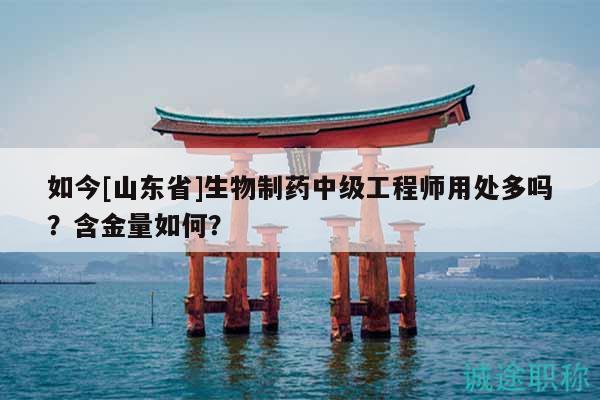 如今[山東省]生物制藥中級(jí)工程師用處多嗎？含金量如何？