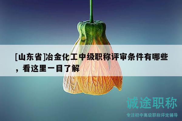 [山東省]冶金化工中級職稱評審條件有哪些，看這里一目了解