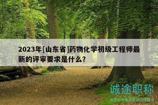 2023年[山東省]藥物化學(xué)初級工程師最新的評審要求是什么？