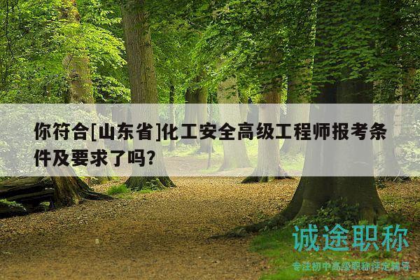 你符合[山東省]化工安全高級(jí)工程師報(bào)考條件及要求了嗎？