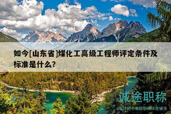 如今[山東省]煤化工高級(jí)工程師評(píng)定條件及標(biāo)準(zhǔn)是什么？