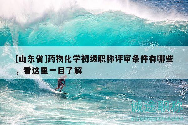 [山東省]藥物化學(xué)初級職稱評審條件有哪些，看這里一目了解