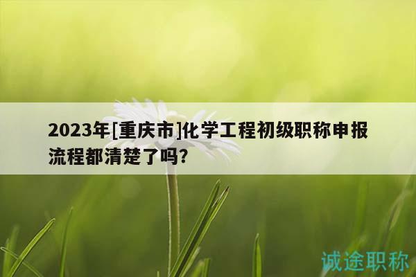 2023年[重慶市]化學(xué)工程初級職稱申報流程都清楚了嗎？
