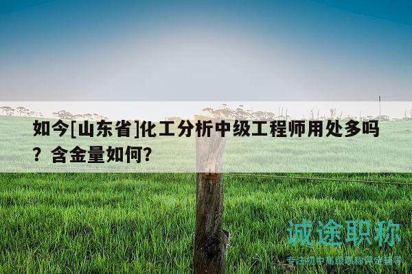 如今[山東省]化工分析中級(jí)工程師用處多嗎？含金量如何？