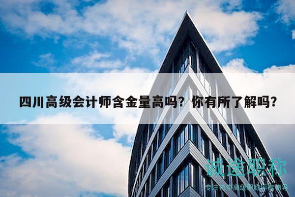 四川高級會計師含金量高嗎？你有所了解嗎？