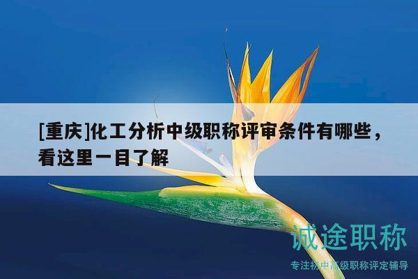 [重慶]化工分析中級職稱評審條件有哪些，看這里一目了解