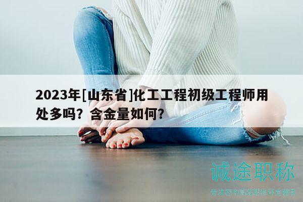 2023年[山東省]化工工程初級工程師用處多嗎？含金量如何？