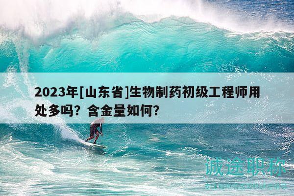 2023年[山東省]生物制藥初級(jí)工程師用處多嗎？含金量如何？