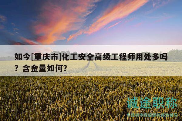 如今[重慶市]化工安全高級(jí)工程師用處多嗎？含金量如何？
