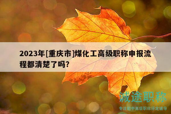 2023年[重慶市]煤化工高級職稱申報流程都清楚了嗎？