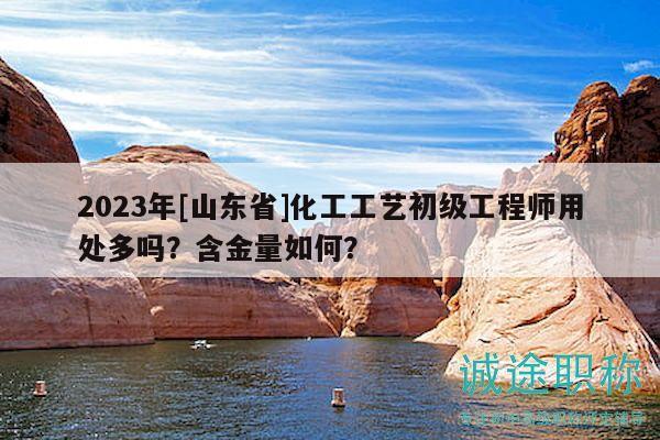 2023年[山東省]化工工藝初級工程師用處多嗎？含金量如何？