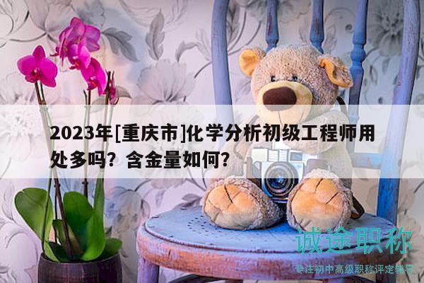 2023年[重慶市]化學(xué)分析初級工程師用處多嗎？含金量如何？