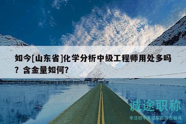 如今[山東省]化學(xué)分析中級(jí)工程師用處多嗎？含金量如何？