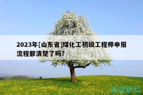 2023年[山東省]煤化工初級工程師申報流程都清楚了嗎？