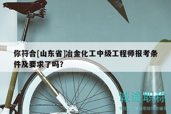 你符合[山東省]冶金化工中級(jí)工程師報(bào)考條件及要求了嗎？
