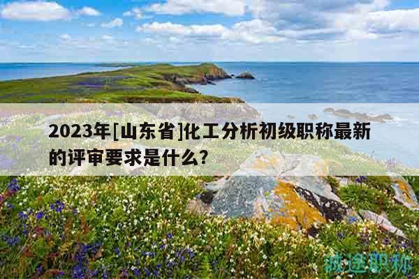 2023年[山東省]化工分析初級(jí)職稱最新的評(píng)審要求是什么？