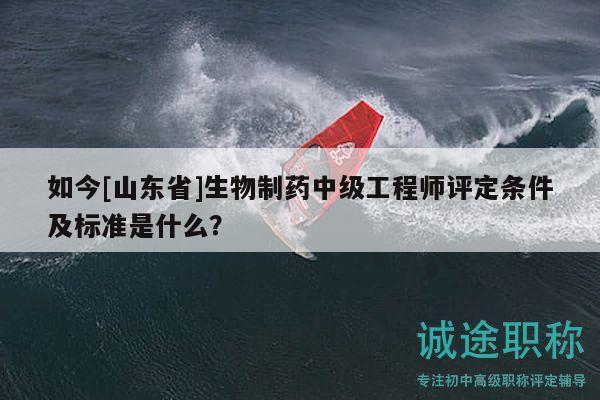 如今[山東省]生物制藥中級(jí)工程師評(píng)定條件及標(biāo)準(zhǔn)是什么？
