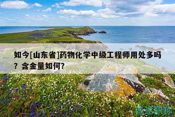 如今[山東省]藥物化學(xué)中級工程師用處多嗎？含金量如何？