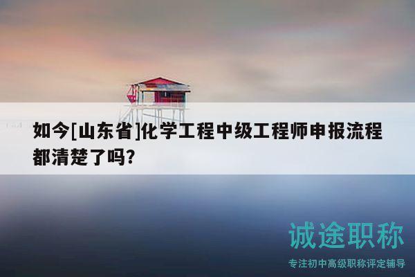 如今[山東省]化學(xué)工程中級工程師申報流程都清楚了嗎？