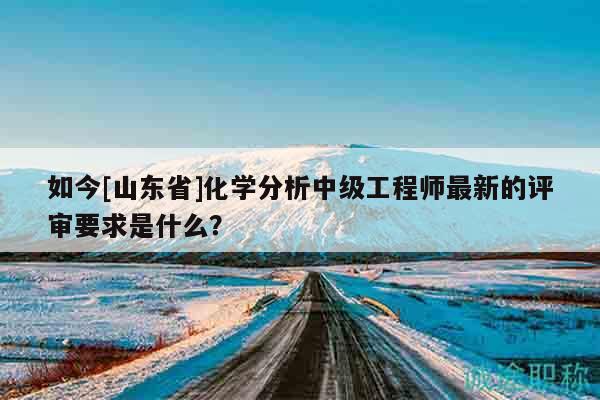 如今[山東省]化學(xué)分析中級工程師最新的評審要求是什么？