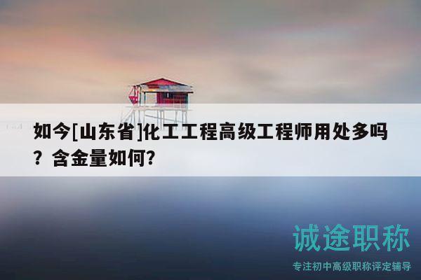 如今[山東省]化工工程高級(jí)工程師用處多嗎？含金量如何？