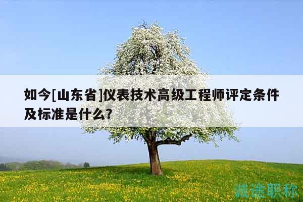 如今[山東省]儀表技術(shù)高級(jí)工程師評(píng)定條件及標(biāo)準(zhǔn)是什么？