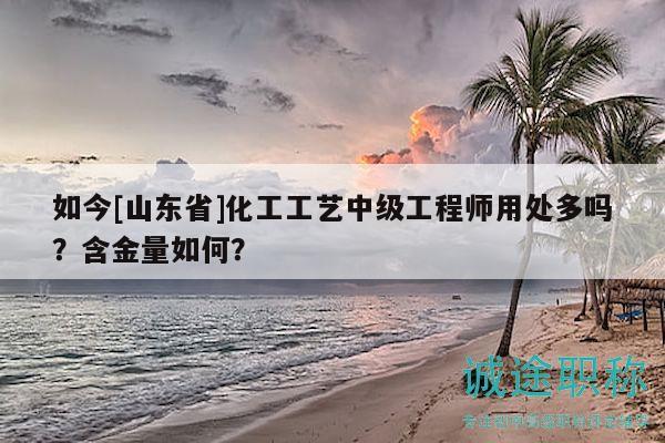 如今[山東省]化工工藝中級(jí)工程師用處多嗎？含金量如何？