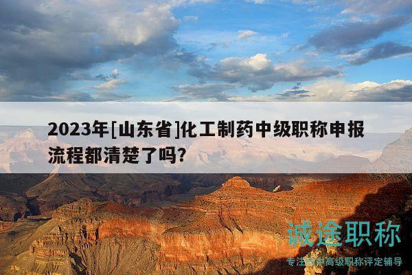 2023年[山東省]化工制藥中級職稱申報流程都清楚了嗎？