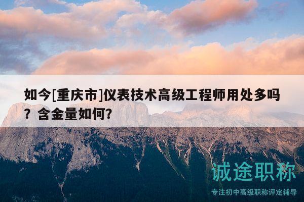 如今[重慶市]儀表技術(shù)高級工程師用處多嗎？含金量如何？