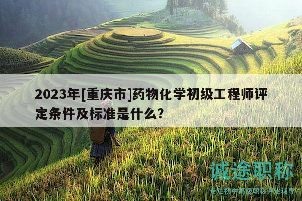 2023年[重慶市]藥物化學(xué)初級(jí)工程師評(píng)定條件及標(biāo)準(zhǔn)是什么？