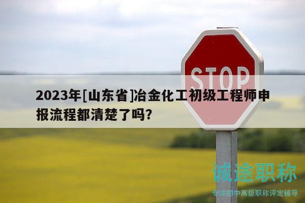 2023年[山東省]冶金化工初級工程師申報流程都清楚了嗎？