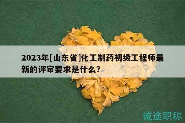 2023年[山東省]化工制藥初級工程師最新的評審要求是什么？