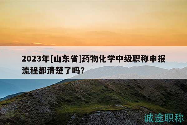 2023年[山東省]藥物化學(xué)中級(jí)職稱申報(bào)流程都清楚了嗎？